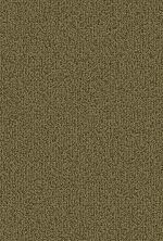 Philadelphia Commercial Core Elements Broadloom Color Array II Bl Dill Seed P2556_7A0H8