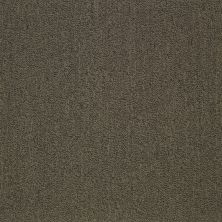 Patcraft Color Your World Bl Color Trend 00758_I0131