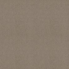 Anderson Tuftex CYPRESS HILL Taupe Tone 00574_040NF