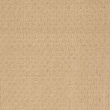Anderson Tuftex Shaw Design Center Masterful Spring Buttercup 00282_820SD