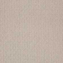 Anderson Tuftex Shaw Design Center Masterful Iced Gray 00552_820SD