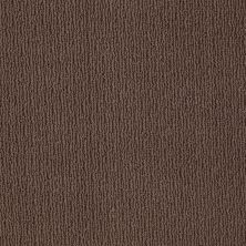 Anderson Tuftex American Home Fashions Another Place Kola Nut 00776_ZA812