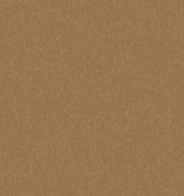 Philadelphia Commercial Special Project Commercial Sp845 Suede Gold 65243_SP845