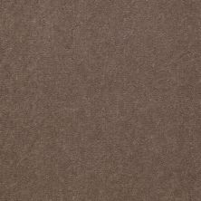 Philadelphia Commercial EXTENSIONS Taupe 00742_53080