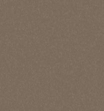 Philadelphia Commercial EMPHATIC 36 Top Taupe 79742_50179