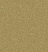 Shaw Contract No Collection Scepter II Khaki 43545_50521