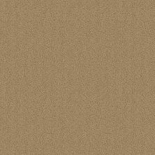 Philadelphia Commercial Color Accents Flax 62122_54462