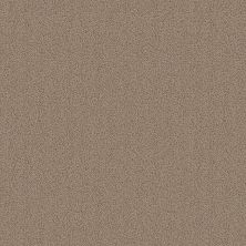 Philadelphia Commercial COLOR ACCENTS Taupe 62760_54462
