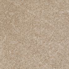 Shaw Floors Home Foundations Gold Favorite Choice 12′ Gallery 00103_HGL45
