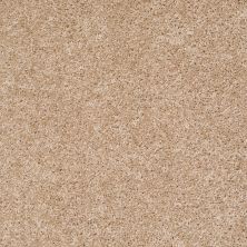 Shaw Floors Vitalize (s) 12′ Abstract 00121_E0276