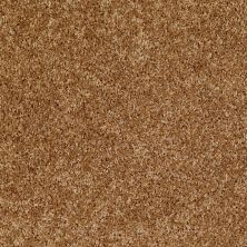 Shaw Floors Home Foundations Gold Favorite Choice 12′ New Cork 00200_HGL45