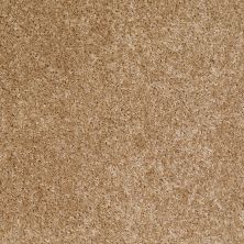 Shaw Floors Home Foundations Gold Favorite Choice 12′ Reed 00201_HGL45