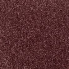 Shaw Floors Home Foundations Gold Favorite Choice 12′ Amethyst Sky 00900_HGL45