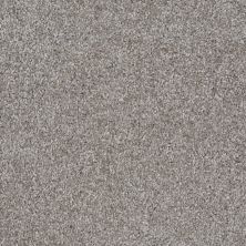 Shaw Floors ADAM’S CHOICE (S) Pewter Solid 00550_E0970