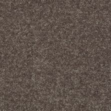 Shaw Floors Value Collections Full Court 15′ Net Driftwood 00703_E9270