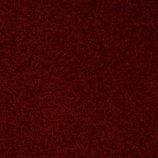 Shaw Floors Value Collections Full Court 15′ Net Red Wine 00801_E9270