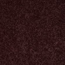 Shaw Floors ALL STAR WEEKEND I 15′ Royal Purple 00902_E0141