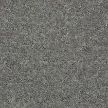 Shaw Floors ALL STAR WEEKEND III 15′ Ink Spot 00501_E0146
