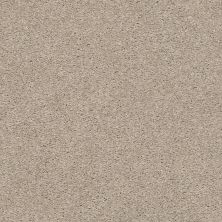 Shaw Floors Carpetland Value EASY BREEZY SOLID Shifting Sand 00105_7B7R0