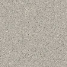 Shaw Floors Carpetland Value EASY BREEZY SOLID Weathered 00522_7B7R0