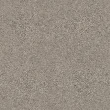 Shaw Floors Home Foundations Gold Harmony Ridge Perfect Taupe 00715_HGR02