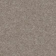 Shaw Floors Property Solutions Eco Beauty II Urban Taupe 00750_PS785