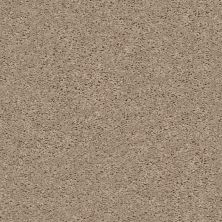 Shaw Floors GO BIG Soft Sand 00102_E0571