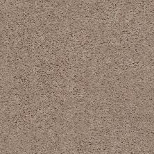 Shaw Floors Home Foundations Gold Graceful Finesse Warm Sand 00106_HGR23
