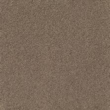 Shaw Floors Home Foundations Gold Graceful Finesse Natural Tan 00700_HGR23