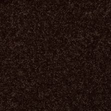 Shaw Floors Home Foundations Gold Graceful Finesse Coffee Bean 00705_HGR23