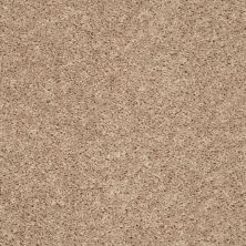 Shaw Floors Roll Special Xv824 Natural Flax 00105_XV824