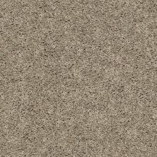 Shaw Floors Value Collections BREAK AWAY (S) NET Soft Taupe 00501_5E282