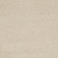 Shaw Floors Caress By Shaw Cashmere Classic I Cheviot 00104_CCS68