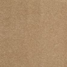Shaw Floors Value Collections Cashmere Classic I Net Brass Lantern 00222_E9922