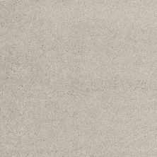 Shaw Floors Caress By Shaw Cashmere Classic I Sterling 00511_CCS68