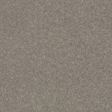 Shaw Floors Value Collections Cashmere Classic I Net Birch Bark 00522_E9922