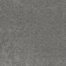 Shaw Floors Value Collections Cashmere Classic I Net Shalestone 00527_E9922