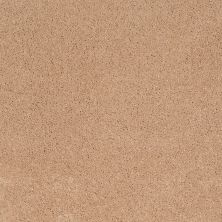 Shaw Floors Value Collections Cashmere Classic I Net Maplewood North 00600_E9922