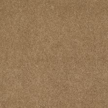 Shaw Floors Caress By Shaw Cashmere I Navajo 00703_CCS01