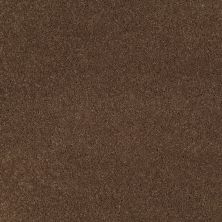 Shaw Floors Caress By Shaw Cashmere I Great Plains 00705_CCS01