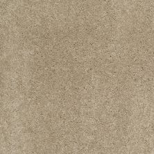 Shaw Floors Caress By Shaw Cashmere Classic I Pecan Bark 00721_CCS68