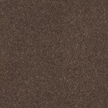 Shaw Floors Caress By Shaw Quiet Comfort Classic I Spring – Wood 00725_CCB96