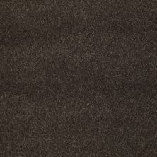 Shaw Floors Caress By Shaw Quiet Comfort Classic I Chestnut 00726_CCB96