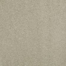 Shaw Floors Caress By Shaw Quiet Comfort Classic II Spruce 00321_CCB97