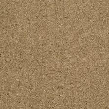 Shaw Floors Caress By Shaw Cashmere Classic II Navajo 00703_CCS69