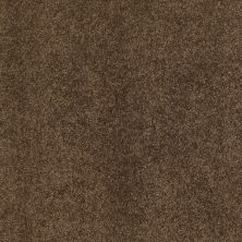 Shaw Floors Caress By Shaw Quiet Comfort II Bison 00707_CCB31