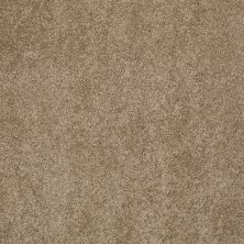 Shaw Floors Caress By Shaw Quiet Comfort Classic II Pebble Path 00722_CCB97
