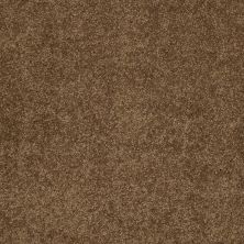Shaw Floors Caress By Shaw Quiet Comfort Classic II Tobacco Leaf 00723_CCB97