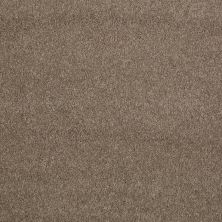 Shaw Floors Caress By Shaw Quiet Comfort Classic II Mesquite 00724_CCB97