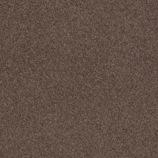 Shaw Floors Caress By Shaw Cashmere Classic II Spring – Wood 00725_CCS69